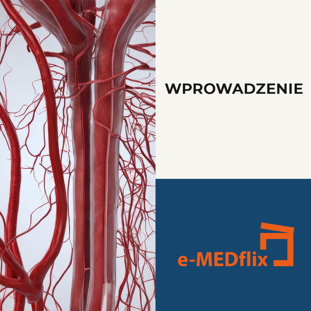 e-MEDflix_Wprowadzenie_ŻYŁY I TĘTNICE W ZIMIE- Mikrokrążenie jako wspólny mianownik chorób żył i tętnic w okresie infekcji.png